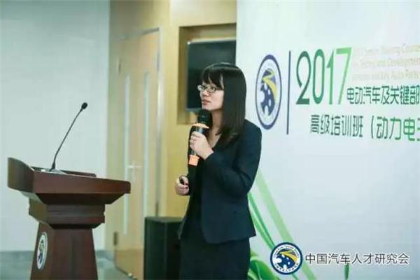 ，動(dòng)力電池技術(shù),新能源汽車電池