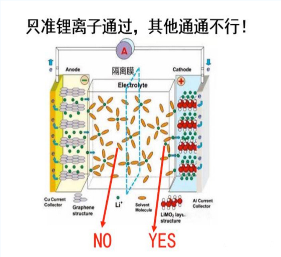 1505096098905056951.jpg 1505096098905056951.jpg