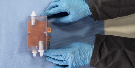 1698887215317930.png 圖片