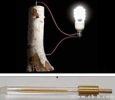 木質(zhì)素是由聚合的芳香醇構(gòu)成的一類物質(zhì)，存在于木質(zhì)組織中，主要作用是通過形成交織網(wǎng)來硬化細(xì)胞壁。吳榮照說，這種物質(zhì)作為造紙過程中所產(chǎn)生的廢料，一直不為人所注意。