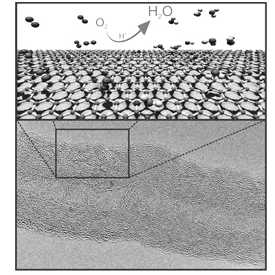 在研制燃料電池過程中，尋找廉價(jià)且高效的有機(jī)催化劑一直是相關(guān)領(lǐng)域研究人員努力的方向。