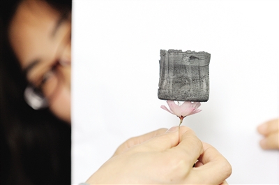 工作人員將一塊100立方厘米的“全碳?xì)饽z”放在一朵花上進(jìn)行展示。新華社記者