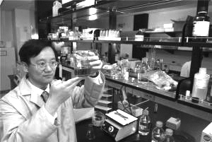 生產(chǎn)氫氣的新方法將幫助全球擺脫對化石燃料的依賴。