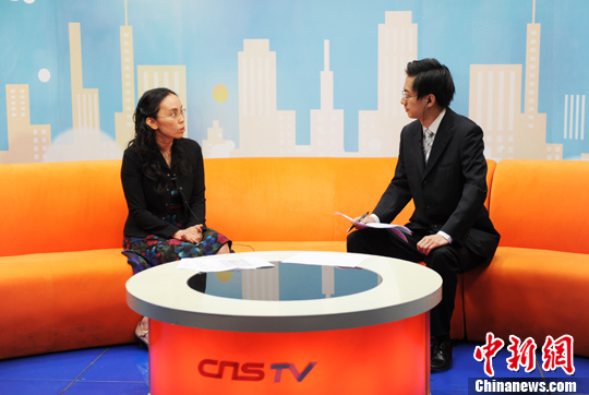 時璟麗:個人光伏電站經(jīng)濟性受限短期不應(yīng)重點扶持