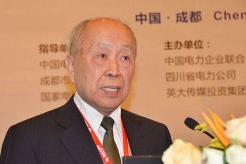 中國(guó)工程院院士楊裕生