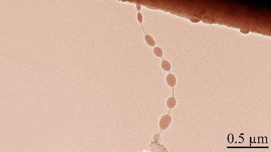 手機續(xù)航太爛？太陽能電池或成最佳方案